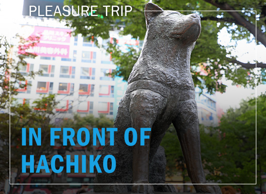 Hachi waited for his master for 10 years even after his master passed away